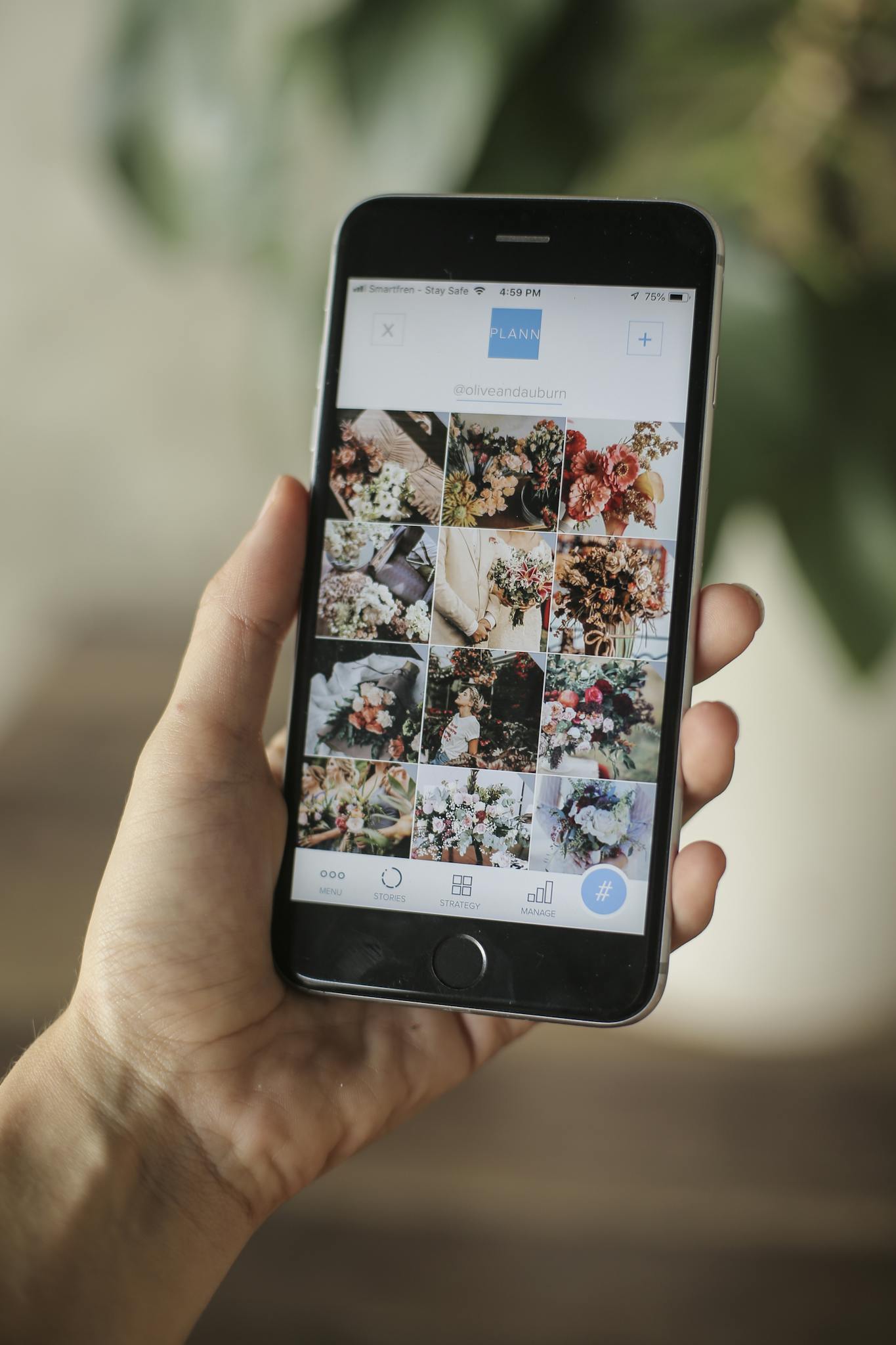 Close-up of a hand holding a smartphone displaying a floral image gallery app interface.